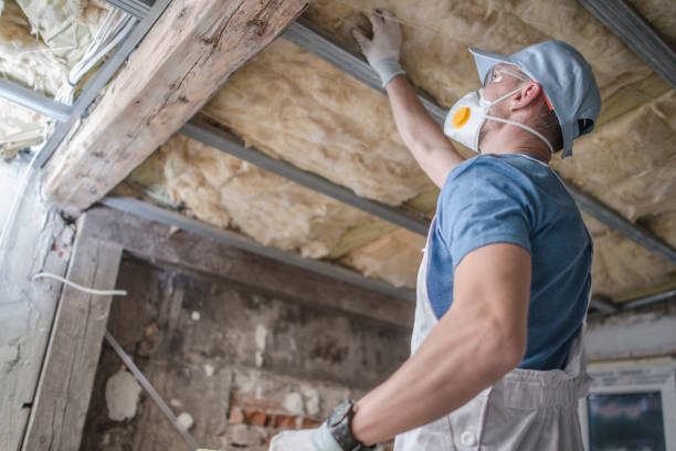 Best Insulation Maintenance and Repair in Country Clu, CA