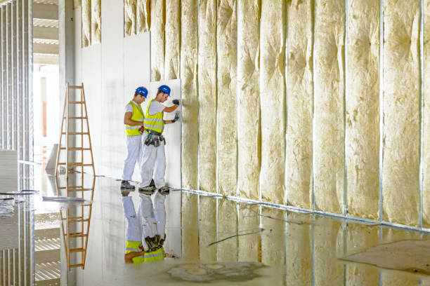 Best Insulation Installation Services in Country Clu, CA